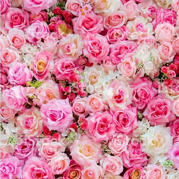 Welcome To My Closet! - Picture 5 of 13